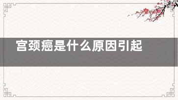 宫颈癌是什么原因引起的 宫颈癌是怎么回事(宫颈癌是什么原因引起的,需注意什么)
